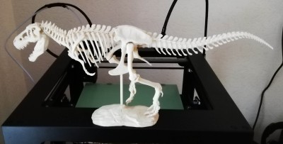 Rex75.jpg