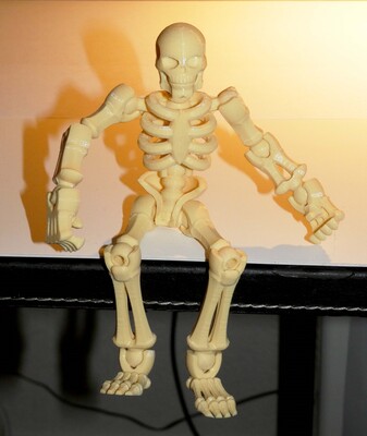 skeleton2-1.jpg